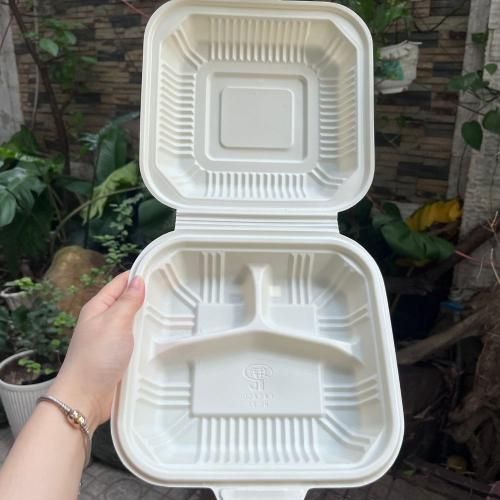Hộp Cơm Phân Hủy Sinh Học – Bước Đột Phá Cho Ngành Ẩm Thực Xanh