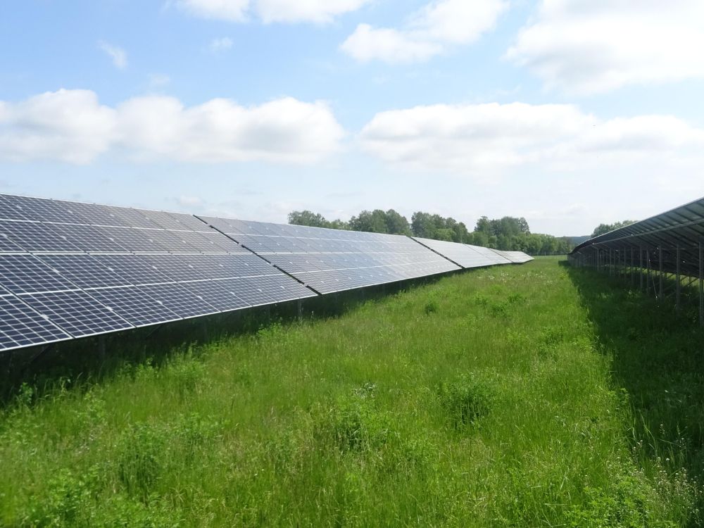 3. Giá trị bền vững cho cộng đồng