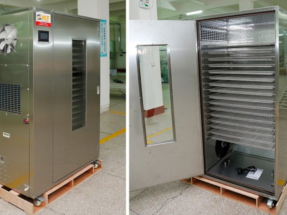 4. Ứng dụng thực tế của công nghệ sấy lạnh