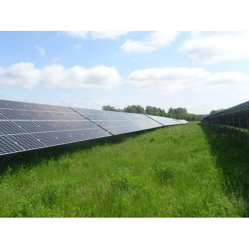 3. Giá trị bền vững cho cộng đồng