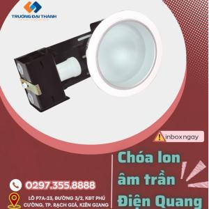 Chóa lon âm trần Điện Quang ĐQ HRD02G 160E27 ( ngang 6